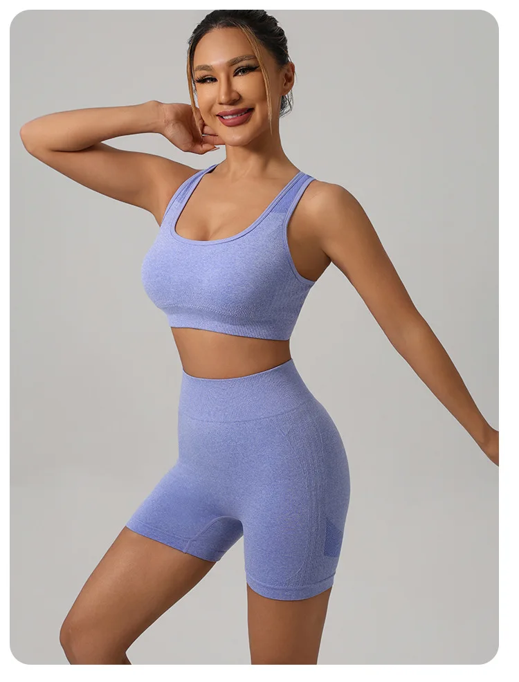 Women Padded Sports Bra High Waist Yoga Shorts Seamless Hip Lifting Gym Fitness Pants Workout Leggings Tights 2pcs Optional Set - Image 51