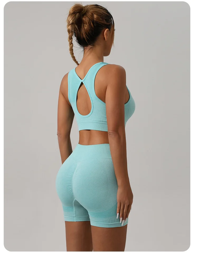 Women Padded Sports Bra High Waist Yoga Shorts Seamless Hip Lifting Gym Fitness Pants Workout Leggings Tights 2pcs Optional Set - Image 49