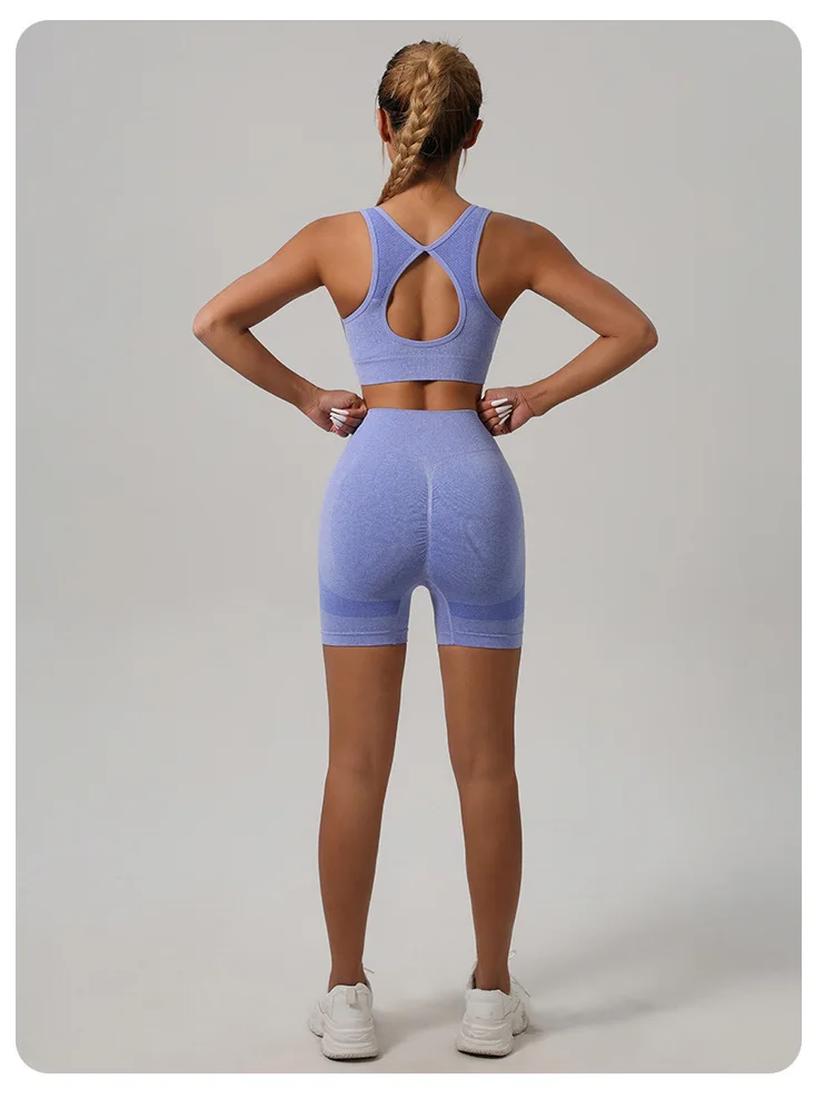 Women Padded Sports Bra High Waist Yoga Shorts Seamless Hip Lifting Gym Fitness Pants Workout Leggings Tights 2pcs Optional Set - Image 52