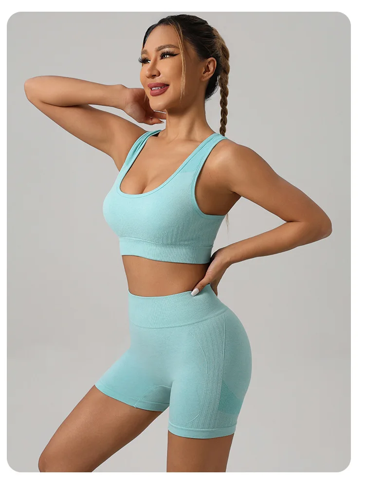 Women Padded Sports Bra High Waist Yoga Shorts Seamless Hip Lifting Gym Fitness Pants Workout Leggings Tights 2pcs Optional Set - Image 48