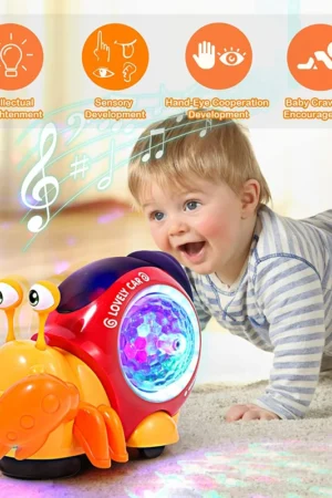 s46fc7bc4e7314bf4ae1d90c36931f97ej.webp